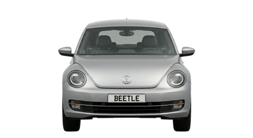 Beetle