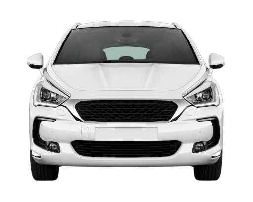DS 5